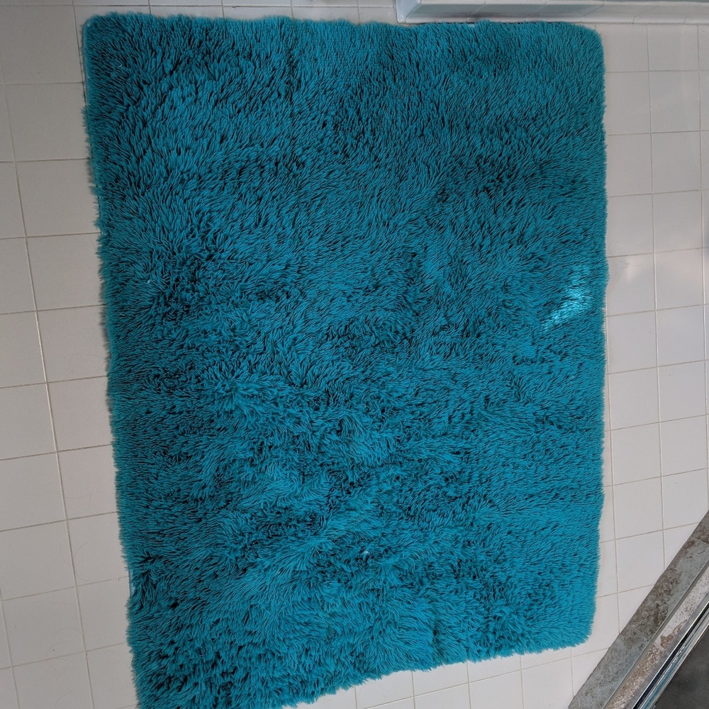 Large, soft blue area rug/carpet